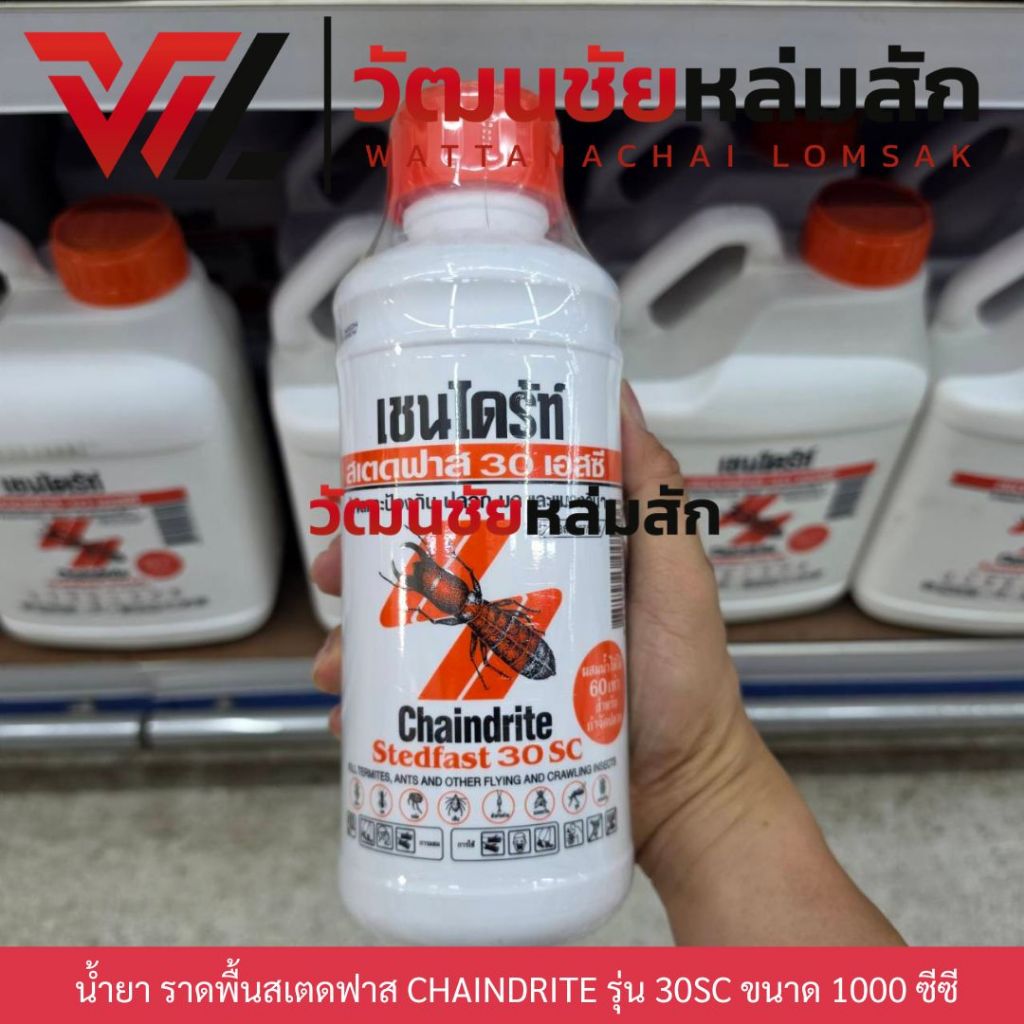 เชนไดร้ท์ (CHAINDRITE) ยากำจัดปลวก สเตดฟาส 30SC แบบน้ำ 1000cc.