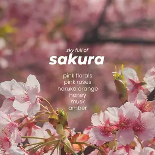 น้ำหอมกลิ่น Sky full of SAKURA - Tester size (2ml) by La Palette
