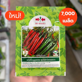 พริก ซุปเปอร์ฮอท 40 ศรแดง ขนาด 7,000 เมล็ด (ประมาณ 40 กรัม) ปลูกได้ 1 ไร่