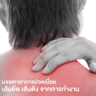 ยาหม่องผสมเถาเอ็นอ่อน ตราช้างไทย บรรเทาอาการ ปวดเมื่อยตามร่างกาย