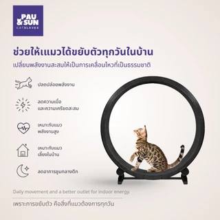 Pau & Sun ล้อวิ่งแมว 122 ซม. Premium Cat Wheel ลู่วิ่งแมว อุปกรณ์ออกกำลังกายแมว เงียบ มั่นคง สำหรับบ้านและคอนโด