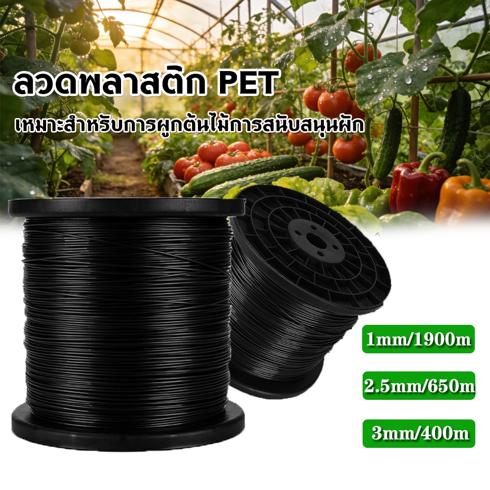 ลวดพลาสติก PET งานเกษตร แข็งแรง ลวดดัดบอนไซ ลวดพลาสติกล วดมัดต้นไม้ ลวดค้างผัก ลวดเคือบพลาสติก ลวดยกม้วน