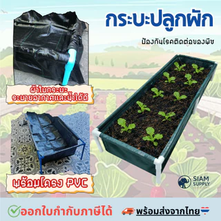 กระบะปลูกผัก พร้อมโครง PVC ขนาด 60x200x30cm กะบะเพาะปลูก​ ถุงปลูก​ต้นไม้ แปลงผัก กระบะปลูกผัก แปลงปลูกผัก