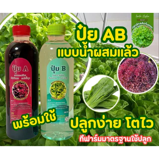 แม่ปุ๋ย AB เข้มข้น แบบน้ำผสมแล้ว ขวด 500ml ระบบรากฝอย