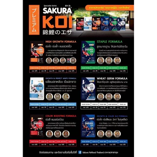 1.25 กก. อาหารปลาคาร์ฟ SAKURA KOI สำหรับการเจริญเติบโตและสีสันสดใส
