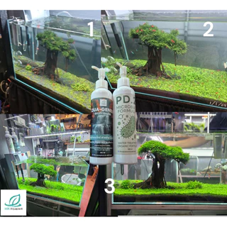 [MIN] Aqua Genesis + PD2 เร่งสร้างตะไคร่ สาหร่ายไบโอฟิล์ม รักษาสมดุลย์ของระบบน้ำ ชุด 2 ขวด สำหรับระบบน้ำที่สมบูรณ์แบบ