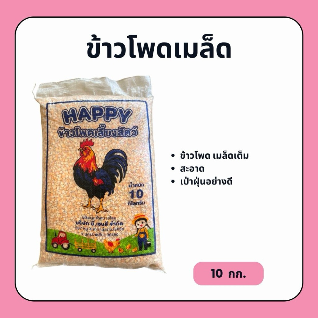 ข้าวโพด เมล็ดเต็ม (10 กก.) ข้าวโพดเลี้ยงสัตว์ สะอาด กินแล้วมีความสุข