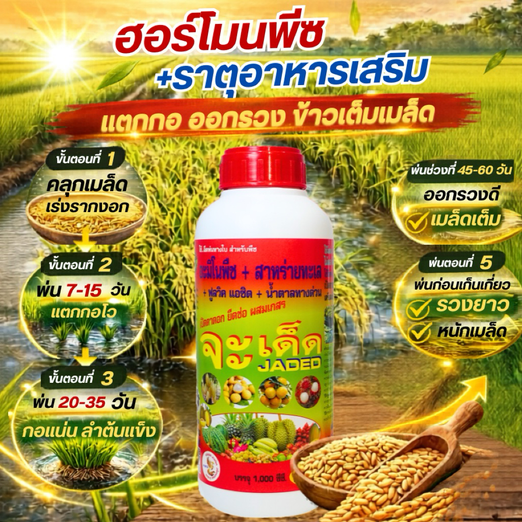 จะเด็ด “นาข้าว” อะมิโน นํ้าตาลทางด่วน สาหร่ายทะเล อาหารพืช ฮอร์โมนพืช ฉีดพ่นทางใบ ฮิวมิค