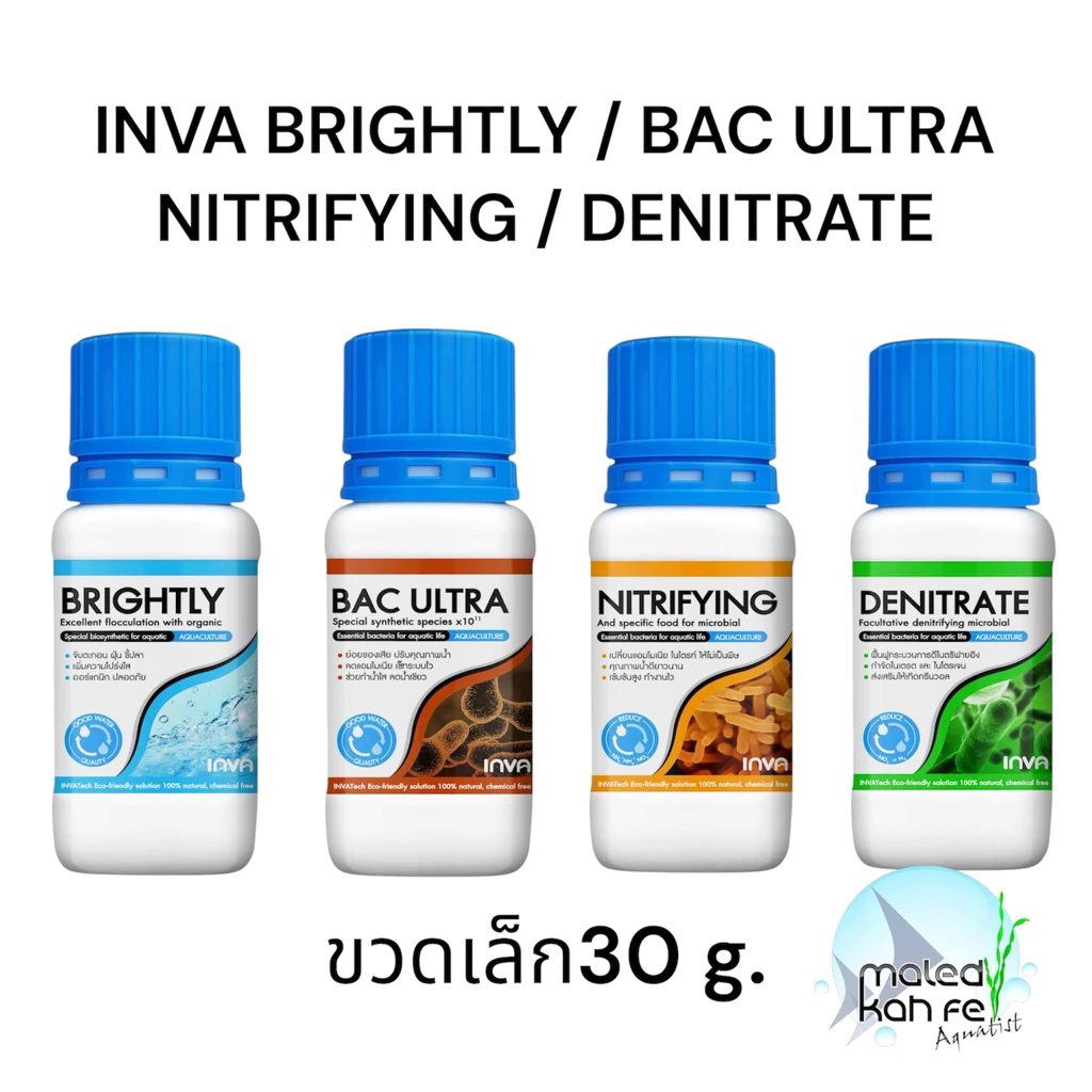 ขนาดใหม่ มินิ INVA TECH Brightly Clear / BACILLUS BAC ULTRA / NITRIFYING / DENITRATE ขวดเล็ก 30 g. ปลอดภัย คุณภาพสูง