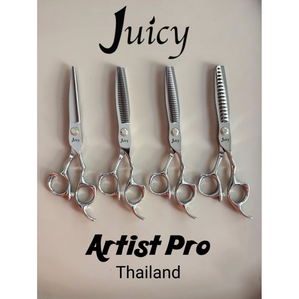 Juicy รุ่น Artist Pro กรรไกรตัดผม ซอยผม กรรไกรฟันปลา คู่ ครบชุด 6นิ้ว