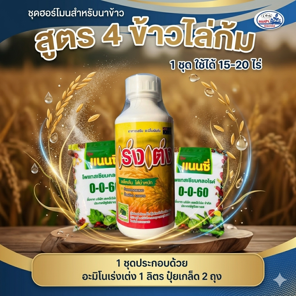 ชุดฮอร์โมนสำหรับนาข้าว สูตร 4 ระยะไล่ก้ม เพิ่มน้ำหนัก รูปที่ 3