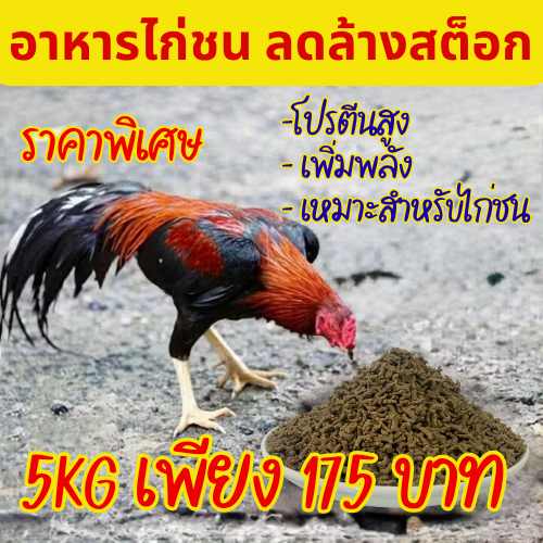 อาหารไก่ชน โปรตีนสูง 5kg โปรล้างสต็อก ราคาพิเศษ 175 บาท