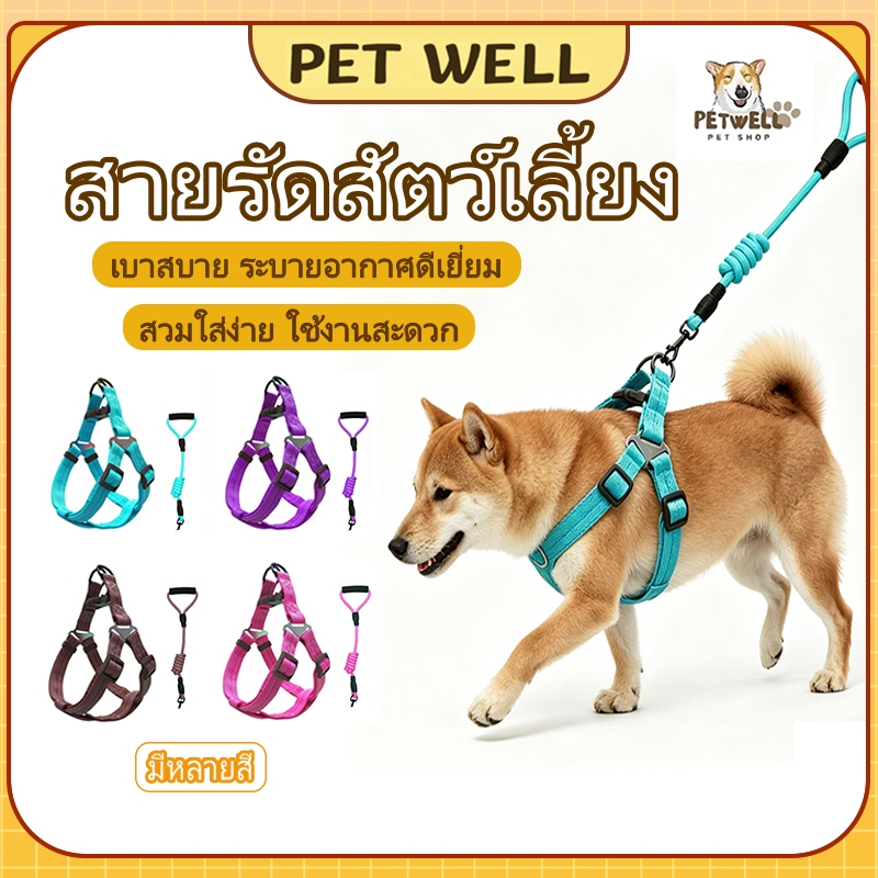 สายจูงสัตว์เลี้ยง เบา ระบายอากาศ ปรับความยาวได้ หลายไซส์ สำหรับแมว สุนัข ใช้งานง่าย พร้อมส่ง