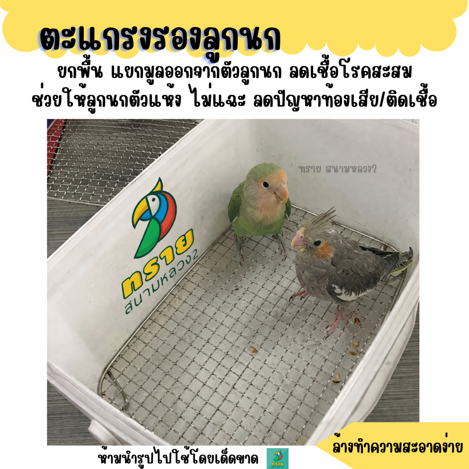 ตะแกรงรองลูกนก คุณภาพดี ลดเชื้อโรค ดูแลง่าย