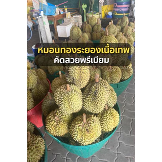 หมอนทองระยอง เนื้อเทพ เนื้อสวยพรีเมี่ยม เน้นเนือ ไม่เน้นทรง 1ลูก3-4พู