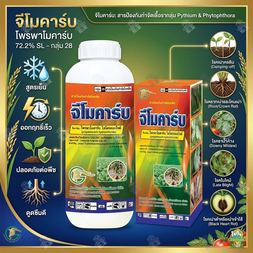 จีโมคาร์บ 1 ลิตร ‼️ยกลัง 12 ขวด‼️ กำจัดโรครากเน่า โคนเน่า ไฟทอปธอรา ตากบ ตาเสื้อในเผือก โพรพาโมคาร์บ
