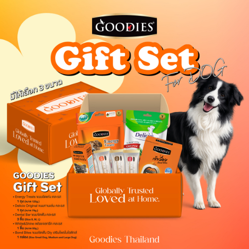 GOODIES 𝐒𝐩𝐞𝐜𝐢𝐚𝐥 𝐆𝐢𝐟𝐭 𝐛𝐨𝐱 𝐟𝐨𝐫 𝐃𝐎𝐆 ชุดของขวัญพิเศษสำหรับสุนัข รวมขนมและเจลดูแลช่องปาก