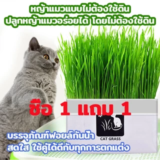 [ซื้อ 1 แถม 1 ]มือใหม่ก็ปลูกได้ แบบถุงปลูกง่ายแค่เติมน้ำ ต้นอ่อนข้าวสาลี ออแกนิกส์ ต้นอ่อนข้าวสาลี หญ้าเเมว หญ้าเเมว สำห
