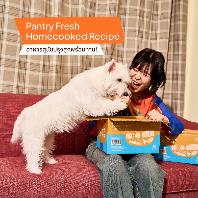 [ยกลัง 12 ชิ้น] Pantry Fresh Homecooked Recipe อาหารปรุงสุกสุนัขพร้อมทาน! (สูตรไก่,วัว,เป็ด,แกะ,ทูน่า) เก็บได้ 18 เดือน
