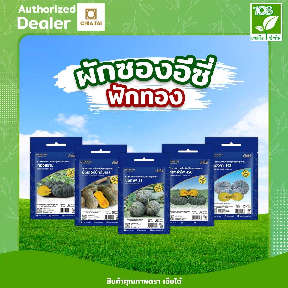 ขายส่ง ยกแพ็ค ผักซองอีซี่ รวมเมล็ดพันธุ์ ฟักทอง ตราเจียไต๋  ราคาถูกสุด (1แพ็ค=10 ซอง)