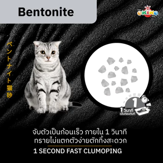 [1 ถุง] Okiko โอกิโกะ ทรายแมวหิน ภูเขาไฟ 5 Powers เกรดพรีเมียม ขนาด 12 L