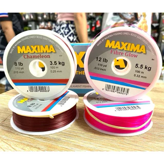 เอ็นตกปลา Maxima ความยาว 100 เมตร เหมาะกับงานชิงหลิว สปิ๋ว