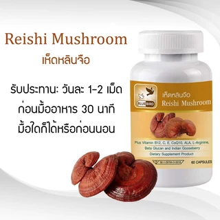 เห็ดหลินจือ Reishi Mushroom ตรา บลูเบิร์ด ขนาด 600 มิลลิกรัม 30,60 แคปซูล