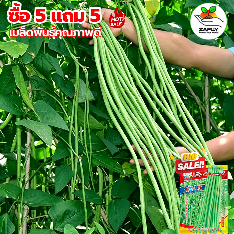 GGEW เมล็ดพันธุ์ ถั่วฝักยาว ลำน้ำพอง2 100 เมล็ด ตราศรแดง
