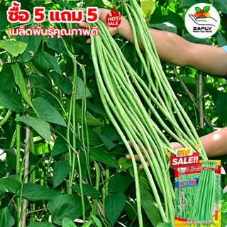 GGEW เมล็ดพันธุ์ ถั่วฝักยาว ลำน้ำพอง2 100 เมล็ด ตราศรแดง