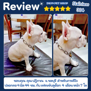 โซ่ปลอกคอสุนัข สแตนเลส 304 โดนน้ำได้ไม่ขึ้นสนิม💦ไม่มีขาด‼️ขนาด 2-4 มิล สำหรับสุนัขพันธ์เล็ก/ลูกสุนัข โซ่หมา