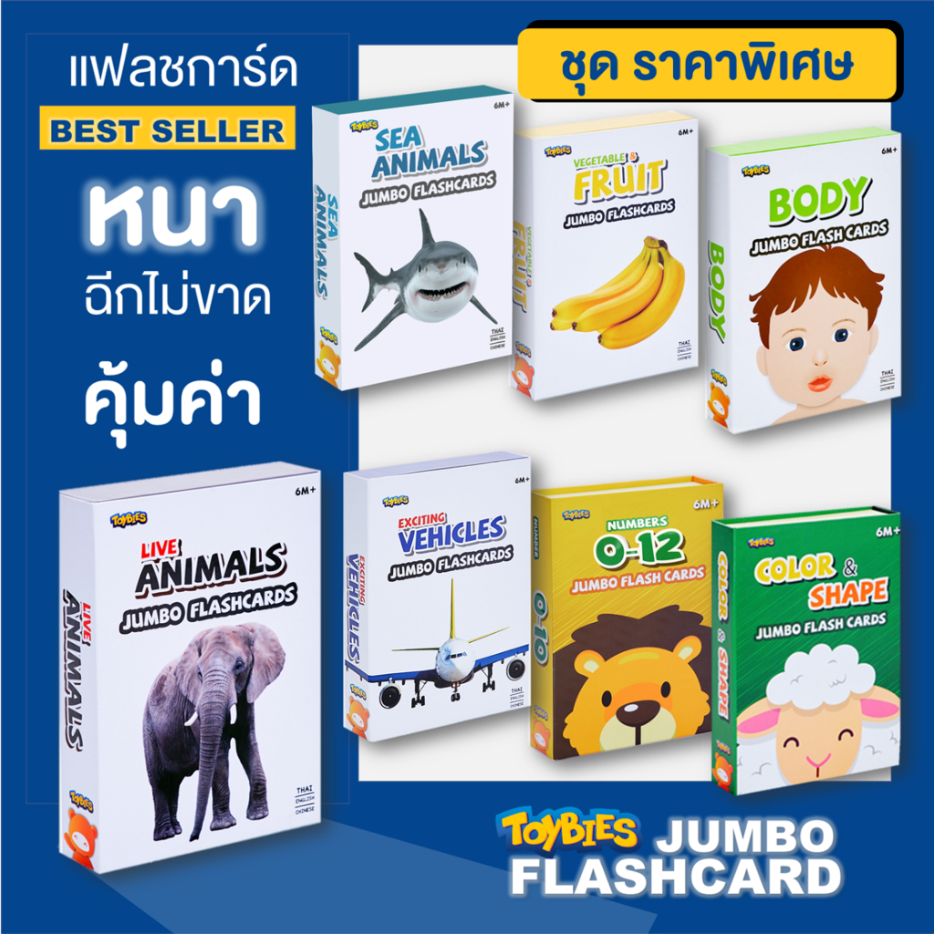 Toybies บัตรคำยักษ์  สำหรับเด็ก 6 เดือนขึ้นไป ใบใหญ่ หนา ฉีกไม่ขาด พิมพ์ด้วยหมึกถั่วเหลือง ปลอดภัย