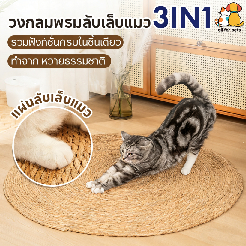 แผ่นลับเล็บแมว 3in1มีหญ้าแมว ถักทอจากหวาย ของเล่นแมว ที่นอนแมว