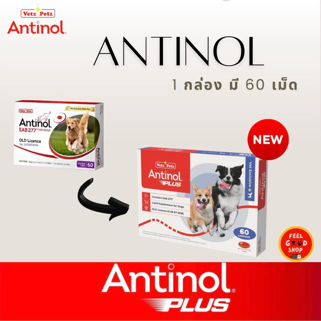 (แพคเกจใหม่ ยกกล่อง ) Antinol Dog exp 02/2028 อาหารเสริมบำรุงข้อสำหรับสุนัข 1 กล่อง บรรจุ 60 เม็ด