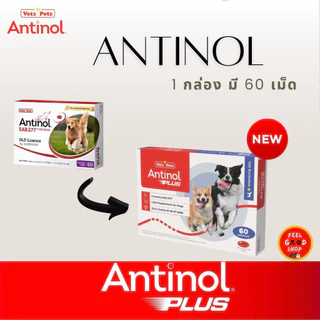 (แพคเกจใหม่ ยกกล่อง ) Antinol Dog exp 02/2028 อาหารเสริมบำรุงข้อสำหรับสุนัข 1 กล่อง บรรจุ 60 เม็ด