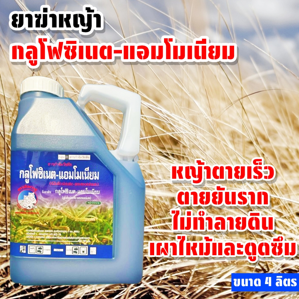 กลูโฟซิเนต ขนาด 4 ลิตร ตราเสือขาวคู่ ออกฤทธิ์เผาไหม้และดูดซึม กำจัดหญ้าทุกประเภท