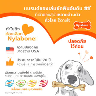 🇺🇸Made in USA🇺🇸 Nylabone Puppy Chew Teething Bone ของเล่นกระดูกแทะขัดฟันลูกสุนัข ลดอาการคันเหงือก รสไก่