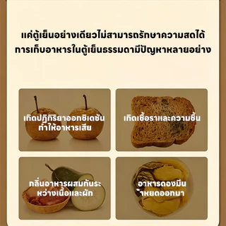 [ส่งจากไทย] 🍱เครื่องซีลสูญญากาศ เครื่องแพ็คสูญญากาศ ซีลถุงอาหารแห้ง/เปียก ดูดแรง อัตโนมัติ ถนอมอาหารสดนาน พร้อมส่งทันที🚀