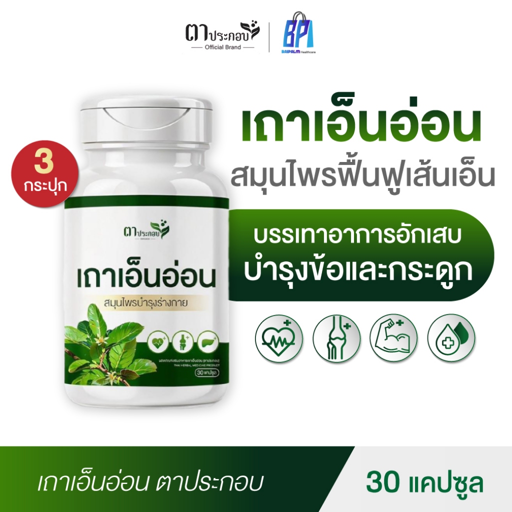 สมุนไพรเถาเอ็นอ่อน ตาประกอบ แคปซูล แก้อาการเมื่อยล้า อ่อนเพลีย บำรุงเส้นเอ็น : 3 กระปุก