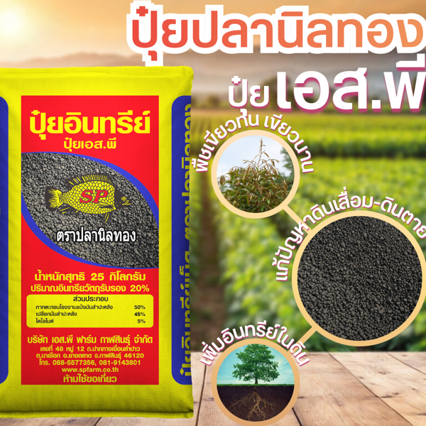ปลานิลทอง อินทรีย์แท้ 100% ที่ทำจากพืช ผสมฮิวมิค แก้ปัญหาดินเสื่อมดินตาย ส่งตรงจากโรงงาน100%