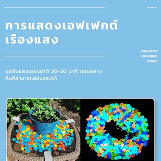 【100 ชิ้น】หินเรืองแสง ก้อนกรวด หินเรืองแสงในที่มืด luminous stone ใช้สำหรับตกแต่งตู้ปลา กระถางต้นไม้ สวน ฯลฯ