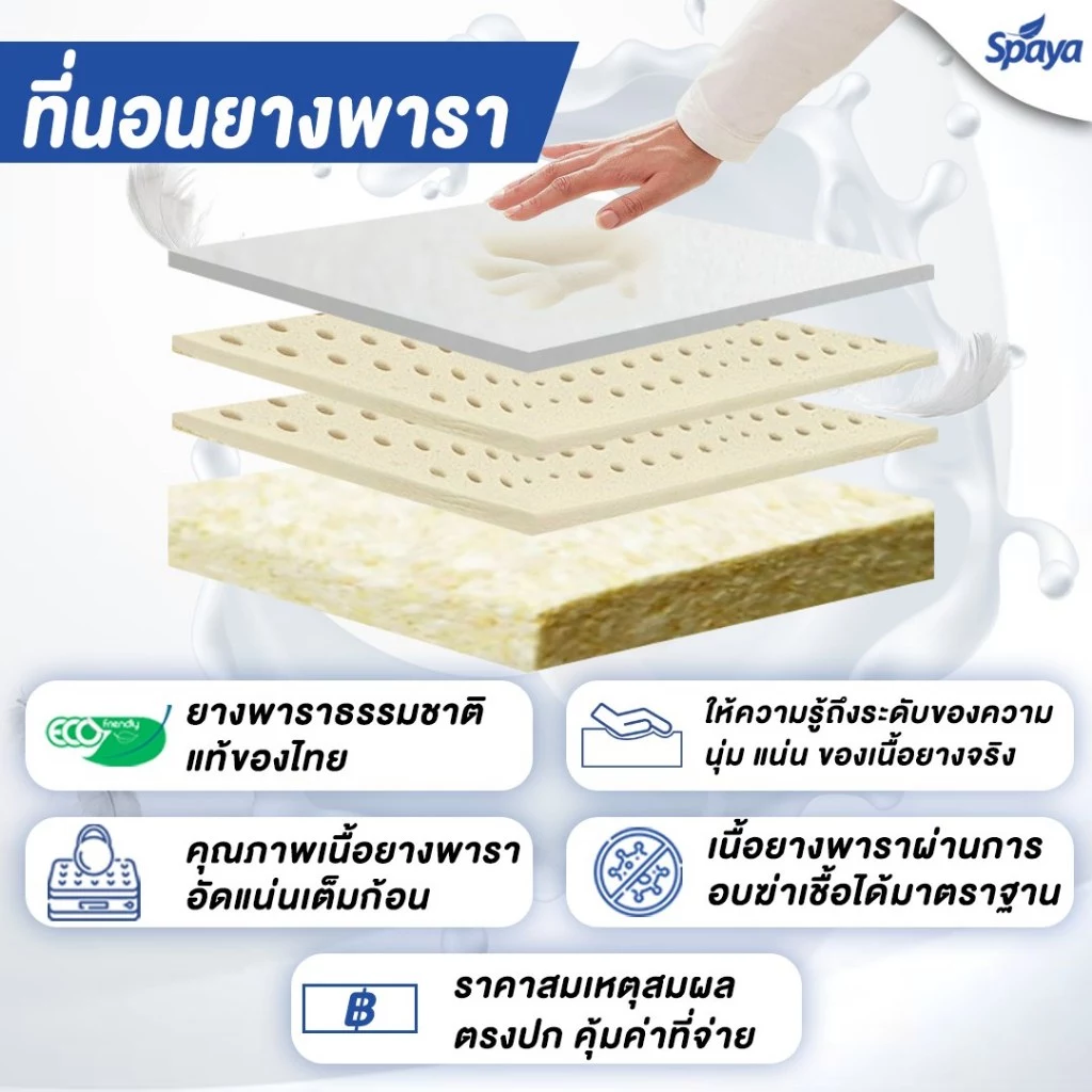 ที่นอนยางพาราธรรมชาติ SPAYA รุ่น Para Dreams 3.5/5/6 ฟุต หนา 9 นิ้ว thumbnail 5
