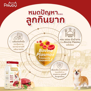 Pawdy อาหารสุนัขเกรดพรีเมียม Holistic สำหรับสุนัขโต อายุ 1-6 ปี สูตรเนื้อวัวย่างและเห็ดทรัฟเฟิล ขนาด 8 กก. (มี 2 ขนาด)