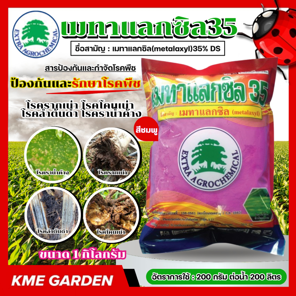 (Live) 🦠โรคพืช🦠 เมทาแลกซิล 35 สีชมพู ขนาด 1กิโลกรัม ออกฤทธิ์ให้ผลทางด้านป้องกันและรักษาโรคพืช ราน้ำค้าง รากเน่า โคนเน่า