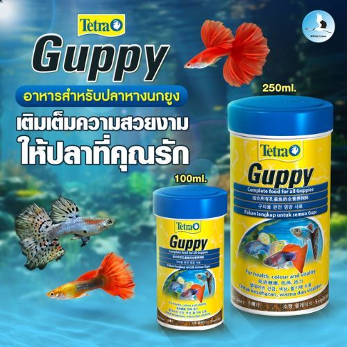 TETRA Guppy เต็ดตร้า กั๊ปปี้ อาหารสำหรับปลาหางนกยูง มีคุณค่าทางอาหารสูง ช่วยเร่งสีให้ปลาดูสวยงาม