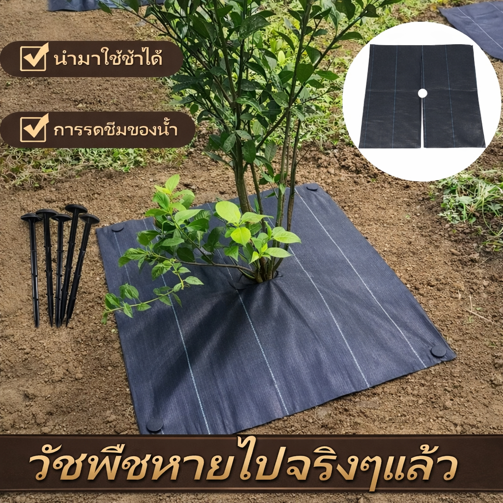 [พิเศษสำหรับไม้ผล] ผ้าป้องกันวัชพืชเจาะรู ผ้าป้องกันวัชพืช พลาสติกคลุมดิน ผ้าคลุมหญ้า พลาสติกคลุมวัชพืช กําจัดวัชพืช