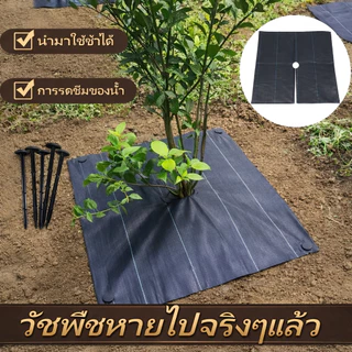 [พิเศษสำหรับไม้ผล] ผ้าป้องกันวัชพืชเจาะรู ผ้าป้องกันวัชพืช พลาสติกคลุมดิน ผ้าคลุมหญ้า พลาสติกคลุมวัชพืช กําจัดวัชพืช