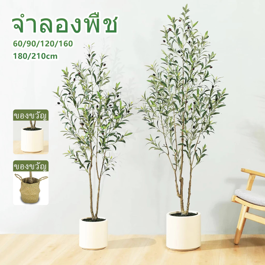 🌿จัดส่ง 24🌿 ชมความจำลอง 99% ต้นโอลีฟ ต้นมะกอกปลอม สไตล์นอร์ดิกอิน ลำต้นสีน้ำตาลเหมือนของจริง