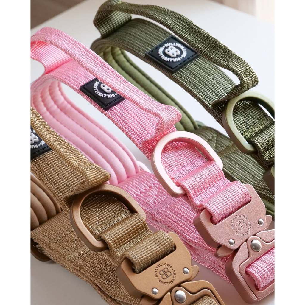 BullyBillows 2.5cm LIGHTER Combat® Collar รูปที่ 2
