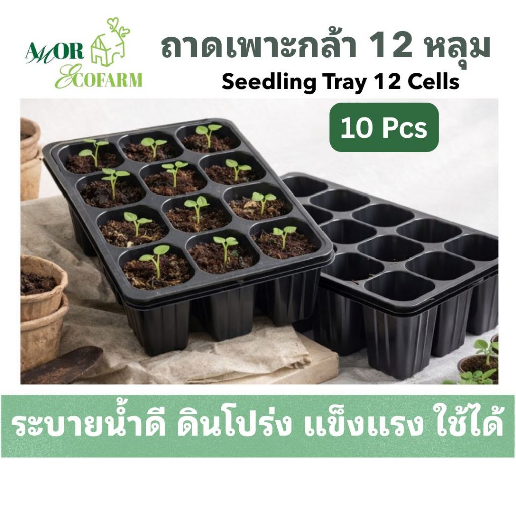 ถาดเพาะกล้า 12 หลุม แข็งแรง ระบายน้ำดี | Seedling Tray 12 Cells ปลูกผัก เพาะเมล็ด (5 ชิ้น / 10 ชิ้น)