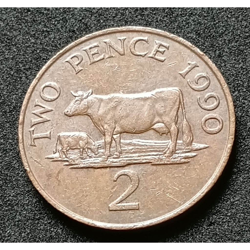 เหรียญเกิร์นซีย์2 Pence 1990(198)